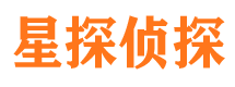 凤泉市调查公司